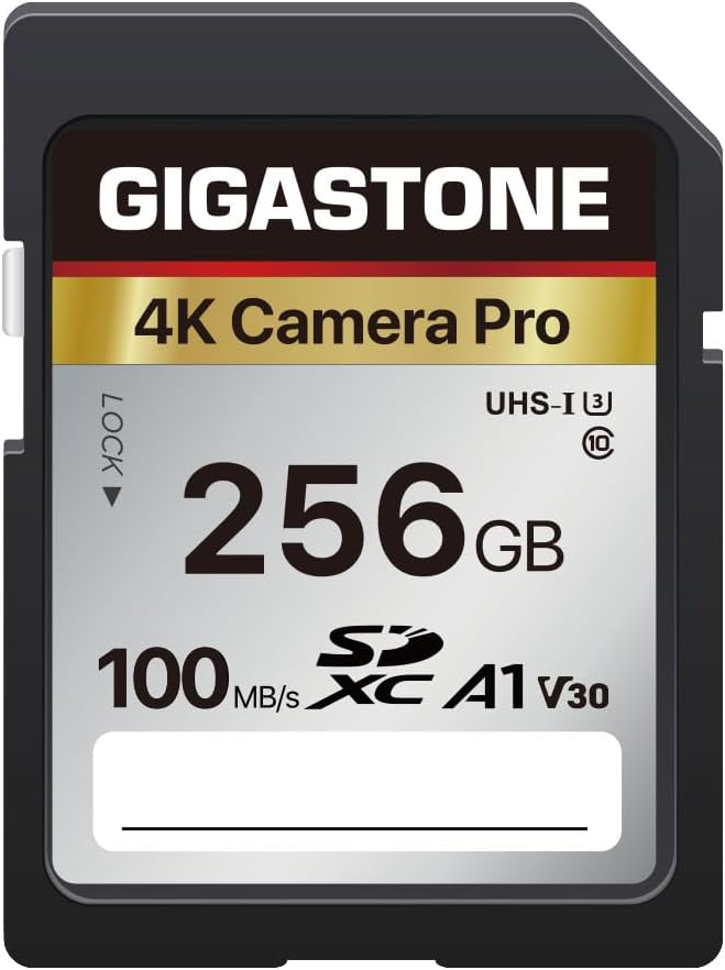 [5-Yrs Free Data Recovery] GIGASTONE 256GB SD Card, 4K Camera Pro, A1 V30 SDXC Memory Card 4K UHD Video Compatible with Canon Digital Camera, with 1 Mini Case