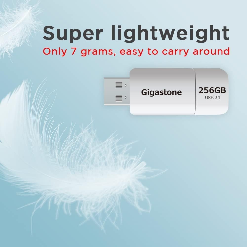 GIGASTONE 256GB Flash Drive (5 Pack) Z60 USB 3.2 Gen 1, 120MB/s Ultra Fast, Retractable Capless Slider Design, Data Storage, Backup for PC/Mac/TV/Car Audio, USB 2.0/3.0/3.1 Compatible