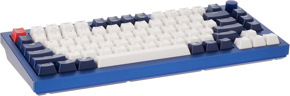Keychron Q1 RGB Wired Custom Mechanical Keyboard, 75% Layout QMK/VIA Programmable Macro with Hot-swappable Gateron G Pro Blue Switch Double Gasket Compatible with Mac Windows Linux (Blue) -Version 2