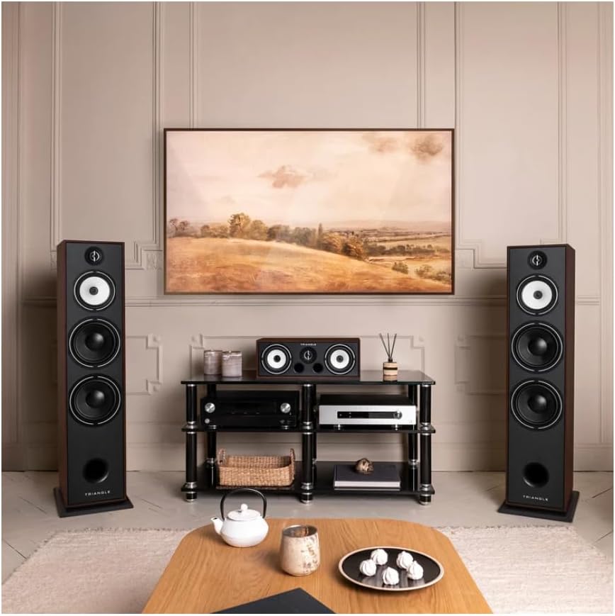 triangle - BOREA BR10 Hi-Fi Floorstanding Speakers - Power handling 200W - Efficiency 92 dB/W/m - 21cm Drivers - Versatile Music and Home Cinema - 245 x 1110 x 380 mm - Walnut (Piece)