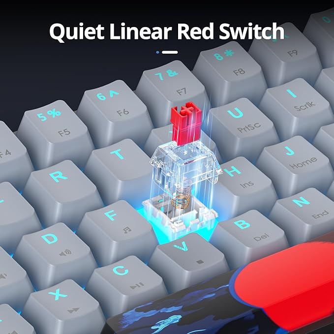 60 Percent Gaming Keyboard 61 Keys Wired Mechanical Keyboard Ultra Compact Key Board Red Switch LED Backlit for Windows Laptop Gamer