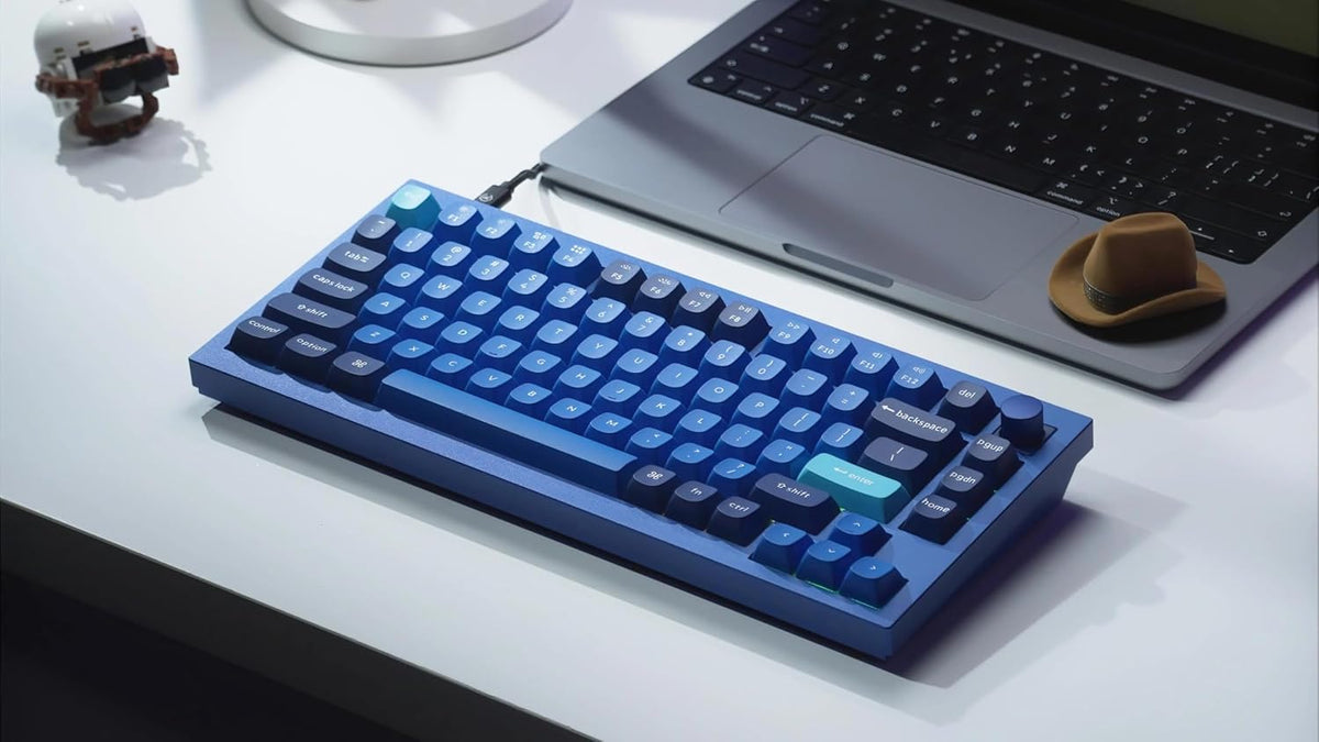 Keychron Q1 RGB Wired Custom Mechanical Keyboard, 75% Layout QMK/VIA Programmable Macro with Hot-swappable Gateron G Pro Blue Switch Double Gasket Compatible with Mac Windows Linux (Blue) -Version 2
