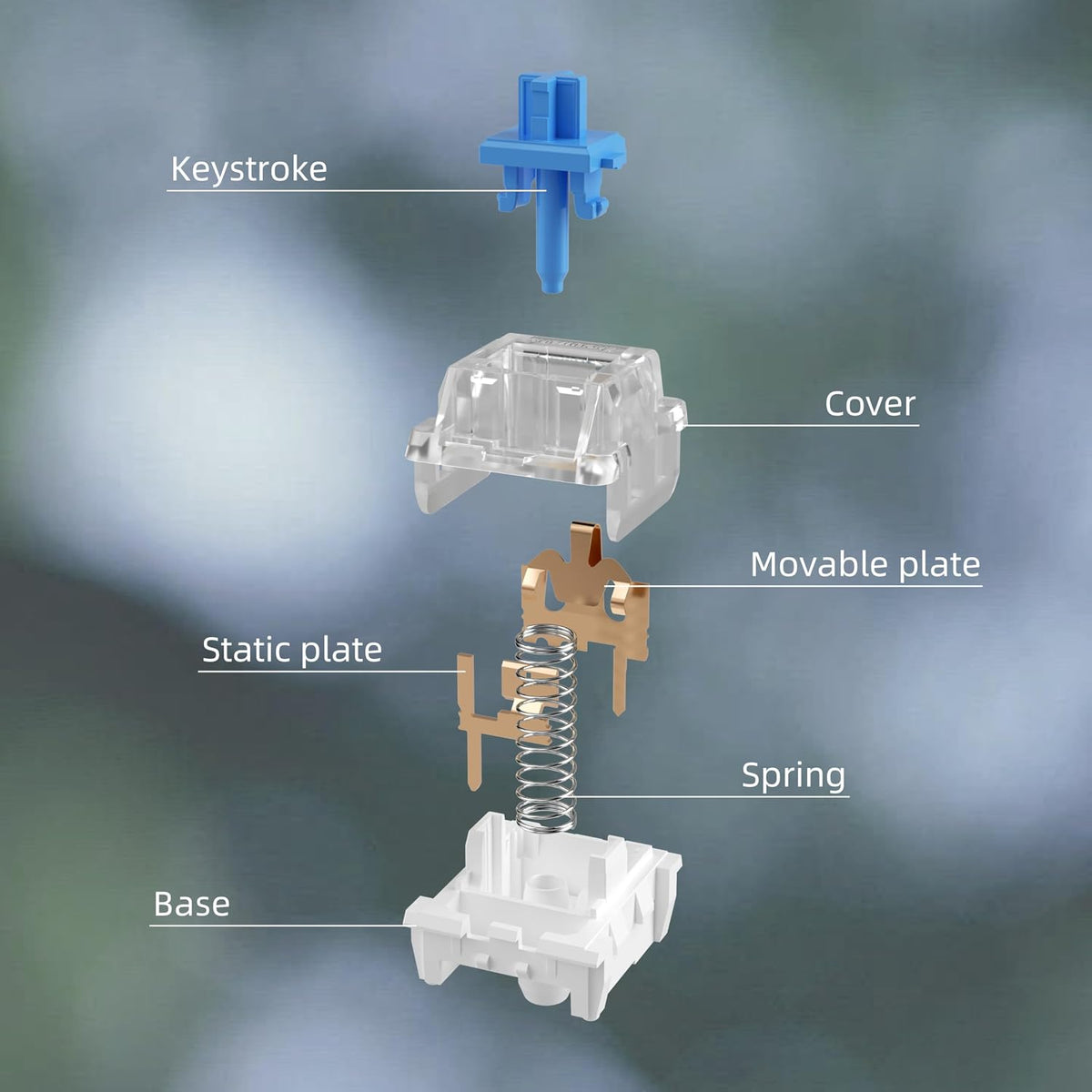 72PCS 3D ZhouWang Blue Pre-Lubricated,Dustproof Click Switch,Crisp clicking Sound with Strong Tactile Feedback