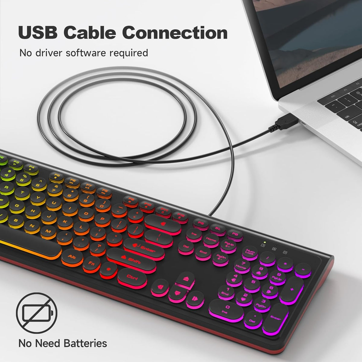 Dilter 7 8 10 11 USB Wired Computer Keyboard with Backlit - Full Size Office Keyboard with Number Pad, Caps Indicators