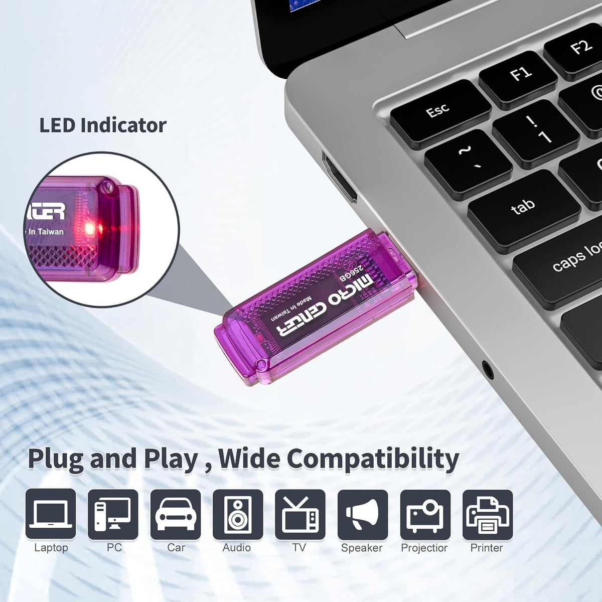 INLAND Micro Center Super Speed 256GB 2-Pack Ultra Flash Drive USB 3.0/USB3.1 Gen1 Memory Stick with Keychain Thumb Drive Photo Stick Jump Drive
