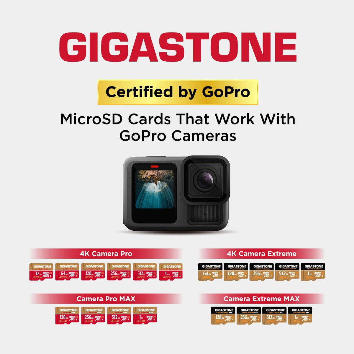 [5-Yrs Free Data Recovery] GIGASTONE 256GB Micro SD Card, 4K Camera Pro, A2 V30 for Smartphone, Gopro, Action Cams, 4K UHD Video, Nintendo-Switch Compatible, Up to 100MB/s, UHS-I U3 C10 with Adapter