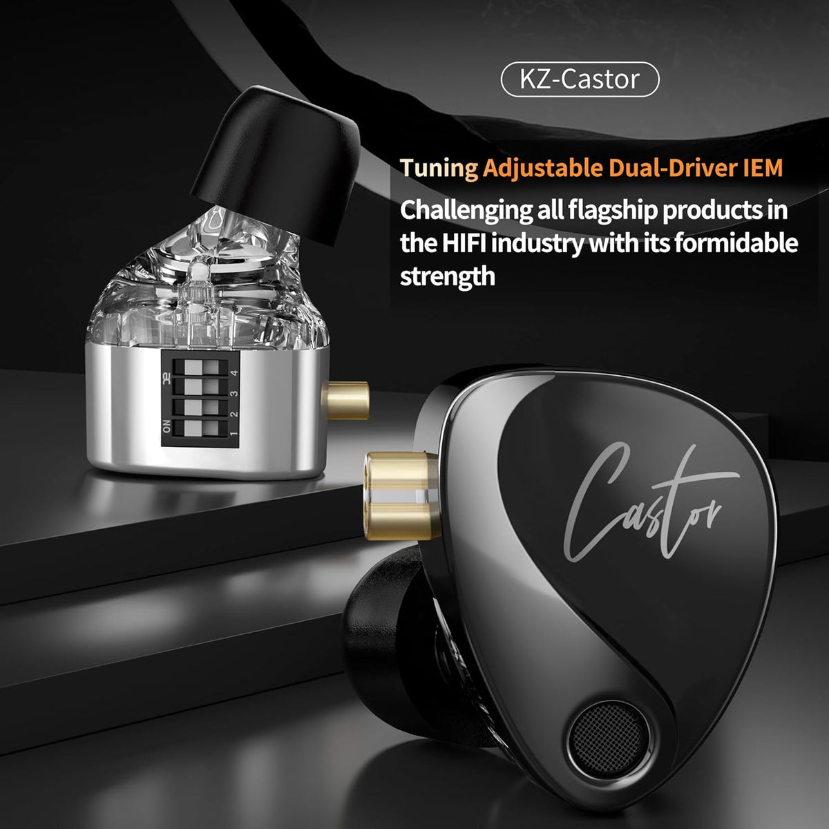 KZ Castor in Ear HiFi Earphone 2DD Dynamic High-end Tunable IEM Earphones in Ear Monitor Headphones with Silicone Tips Detachable Cabel IEMs for Singer Musician DJ On Stage (Black, Without Mic)