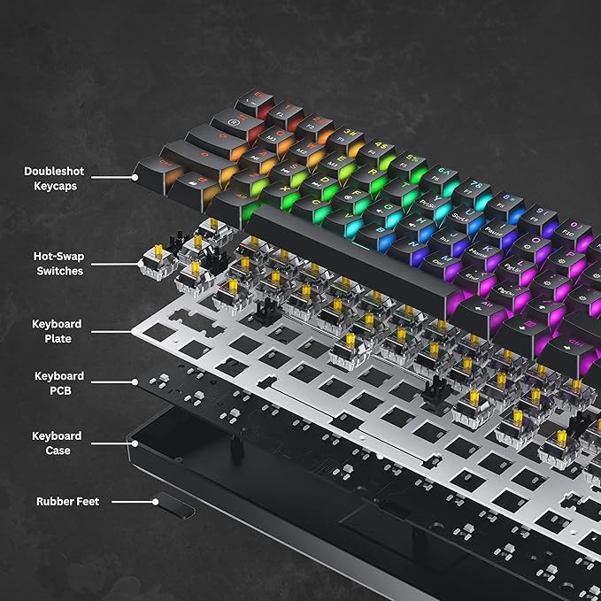 Mechanical Gaming Keyboard - 61 Keys Multi Color RGB Illuminated LED Backlit Wired Programmable for PC/Mac Gamer (Gateron Optical Silver Black)