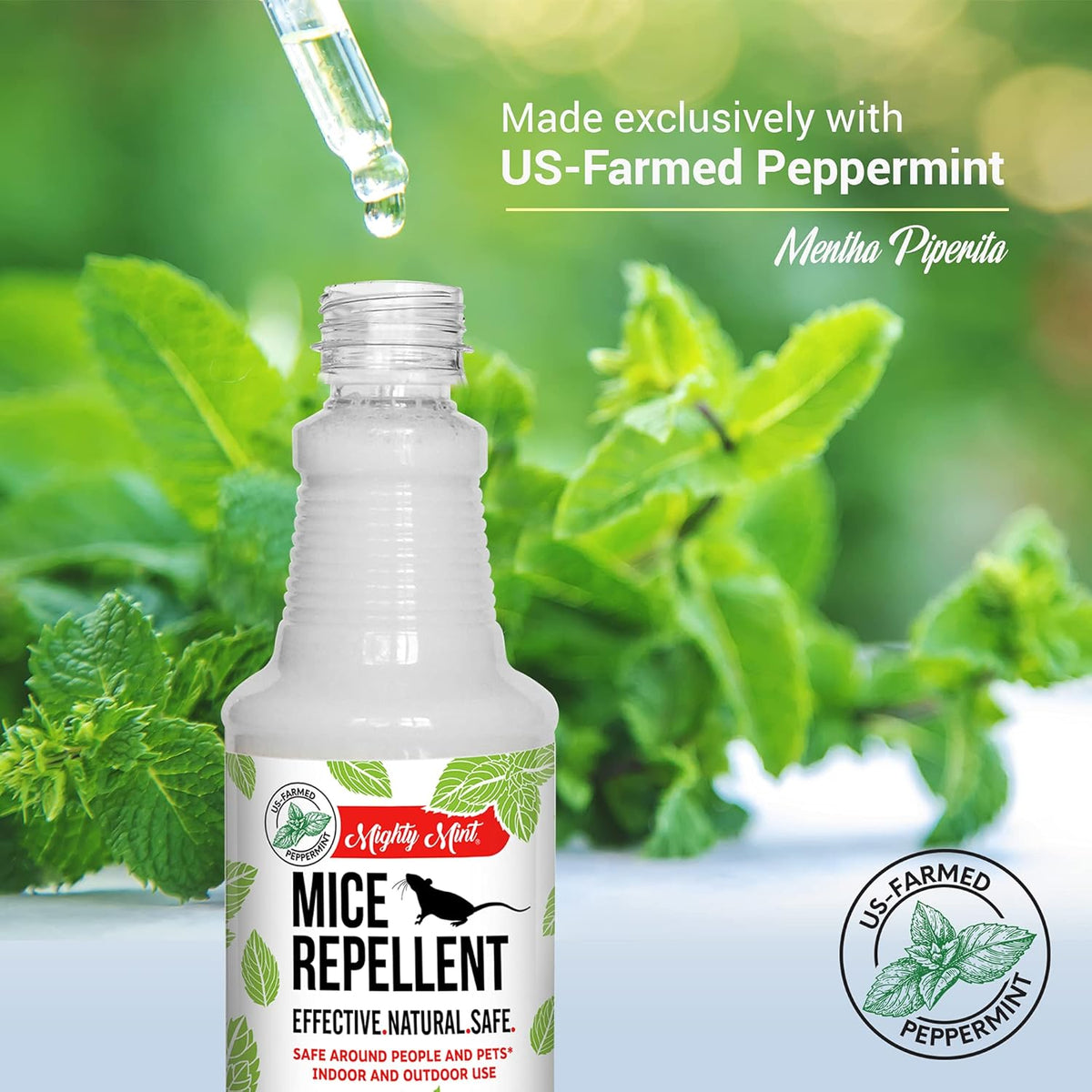 Mighty Mint Peppermint Oil Mouse Repellent Spray – Natural Indoor & Outdoor Control for Mice and Rodents – Plant-Based, Extra-Strong Formula - 16 oz (Pack of 2)