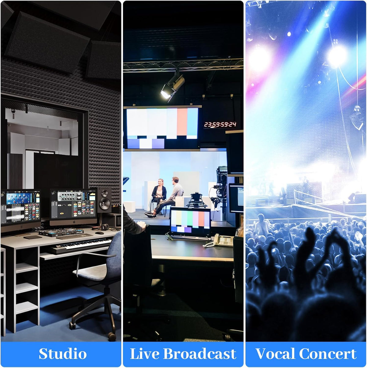 12-Channel Professional Audio Mixer, FX-12usb Mixing Console with XLR Inputs, Bluetooth, 99 DSP Effects, MP3, USB Interface for Podcast, Music, Recording, PC 13.39"x3.54"x18.90"inches