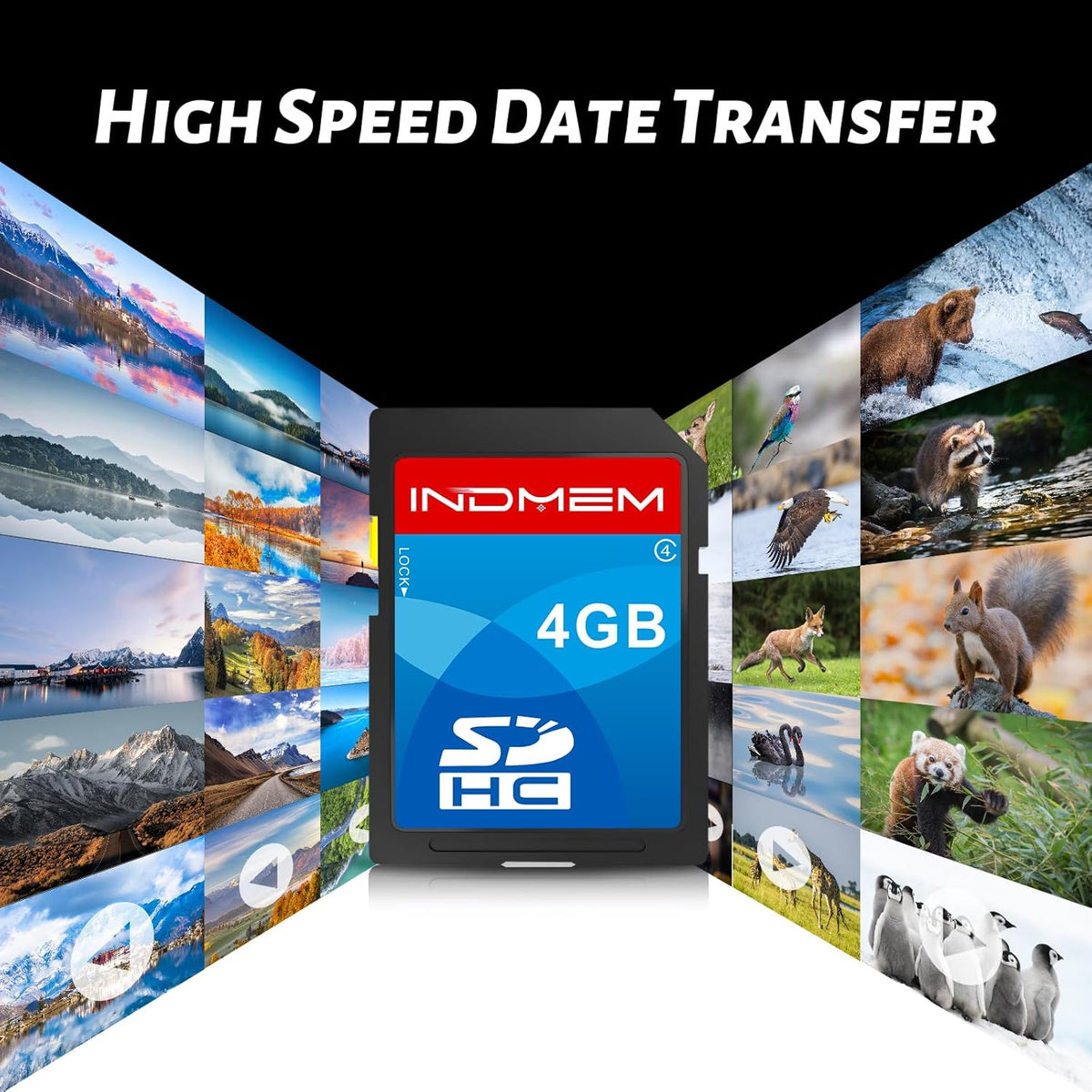 INDMEM SD Card 4GB, 8 Packs Class 4 4GB Flash Memory Card MLC Standard Secure Digital Cards Camera Card